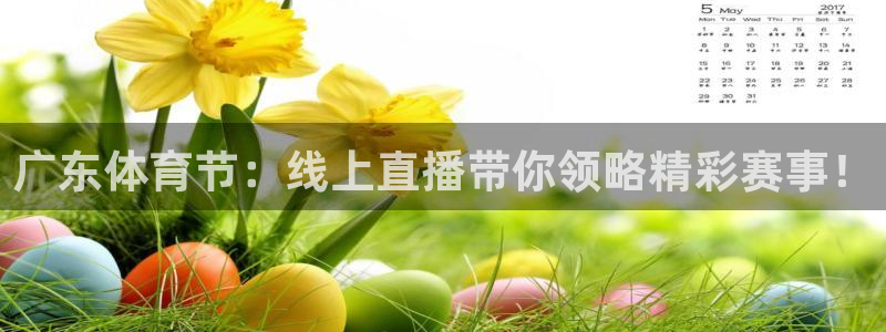 广东体育节：线上直播带你领略精彩赛事！