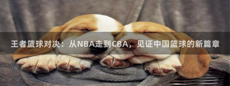 王者篮球对决：从NBA走到CBA，见证中国篮球的新篇章