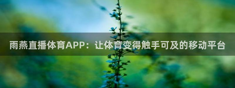 雨燕直播体育APP：让体育变得触手可及的移动平台