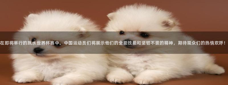 在即将举行的跳水世界杯赛中，中国运动员们将展示他们的全能技能和坚韧不拔的精神，期待观众们的热情欢呼！