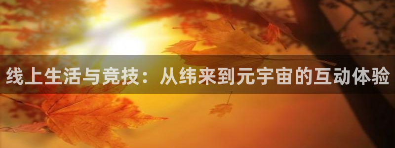 线上生活与竞技：从纬来到元宇宙的互动体验