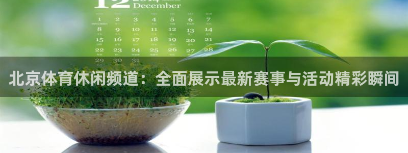 北京体育休闲频道：全面展示最新赛事与活动精彩瞬间