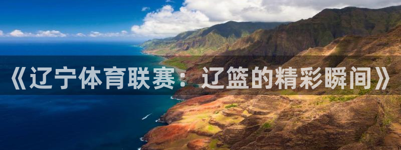 《辽宁体育联赛：辽篮的精彩瞬间》