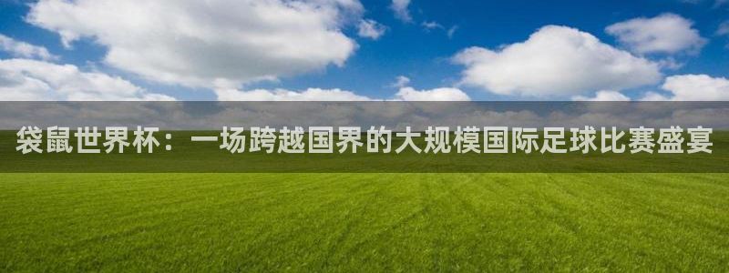 袋鼠世界杯：一场跨越国界的大规模国际足球比赛盛宴
