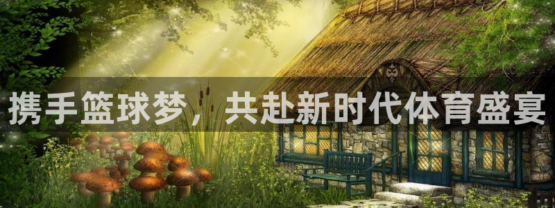 携手篮球梦，共赴新时代体育盛宴
