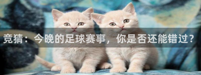 99年女子足球世界杯：竞猜：今晚的足球赛事，你是否还能错过？