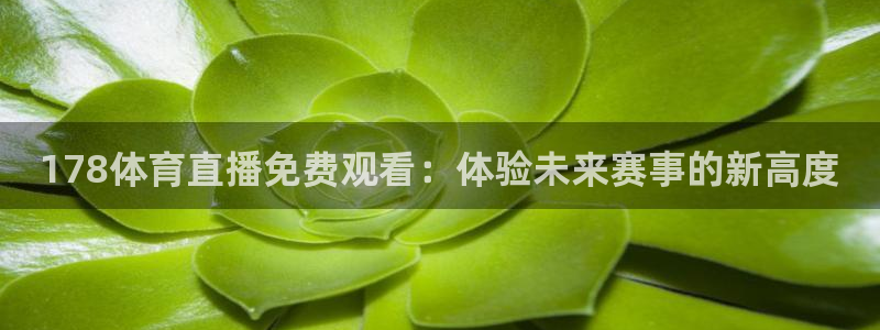 2014男篮世界杯决赛回放：178体育直播免费观看：体验未来赛事的新高度