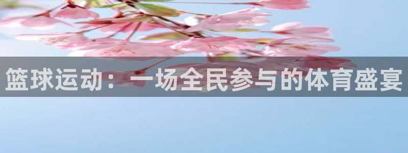 2014年德国世界杯冠军阵容：篮球运动：一场全民参与的体育盛宴