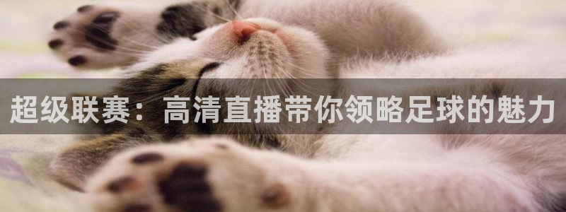世界杯是几号足球：超级联赛：高清直播带你领略足球的魅力