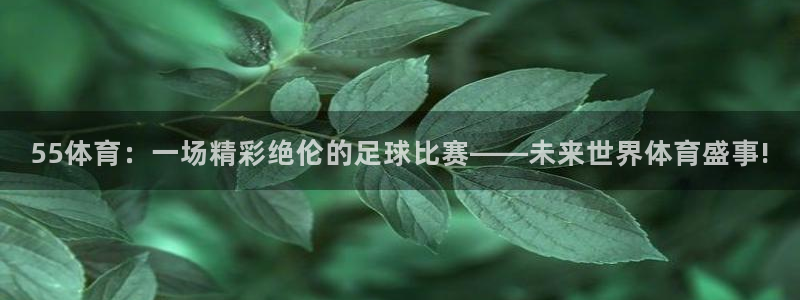 2024乒乓球世界杯女单决赛：55体育：一场精彩绝伦的足球比赛——未来世界体育盛事!
